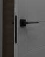 Межкомнатная дверь Порта-212 Graphite wood ПГ PORTIKA
